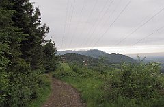 IMG_x25765_cr