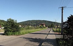 IMG_x25833_cr