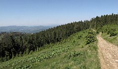 IMG_x26154_cr