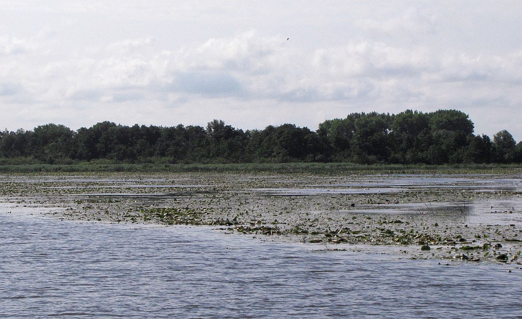 2012-07-02_09-24-22_IMG_x26763_cr.jpg -                                