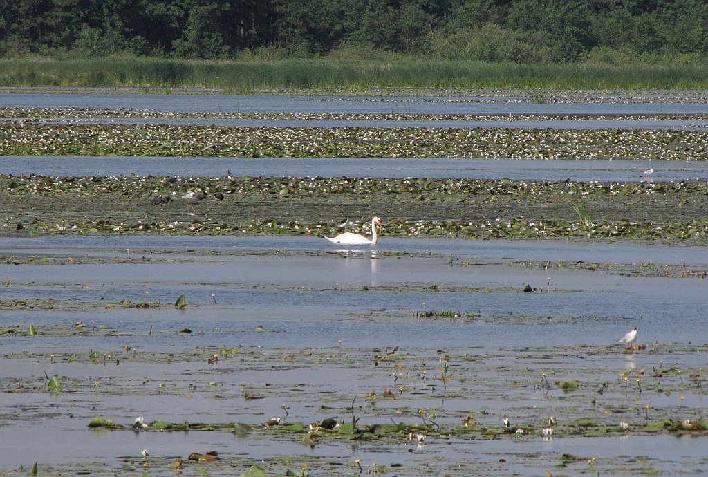 2012-07-02_09-25-47_IMG_x26783_cr.jpg -                                