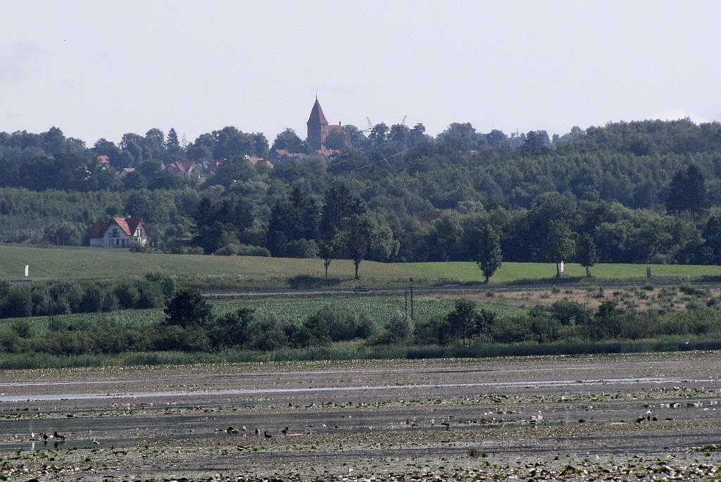 2012-07-02_09-30-25_IMG_x26796_cr.jpg -                                