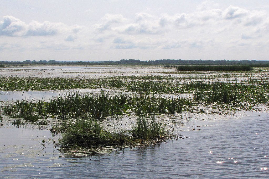 2012-07-02_09-30-33_IMG_x26797_cr.jpg -                                