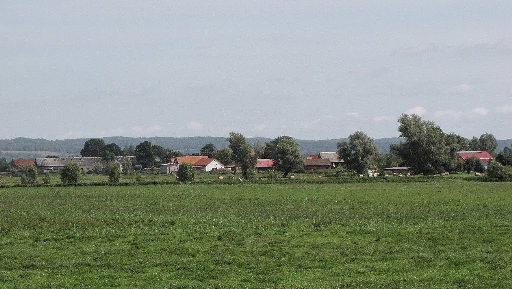 2012-07-02_10-17-24_IMG_x26812_cr.jpg -                                