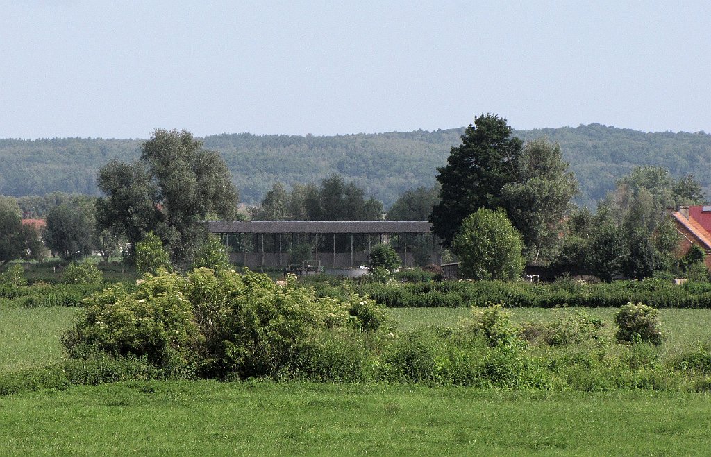 2012-07-02_10-20-31_IMG_x26819_cr.jpg -                                