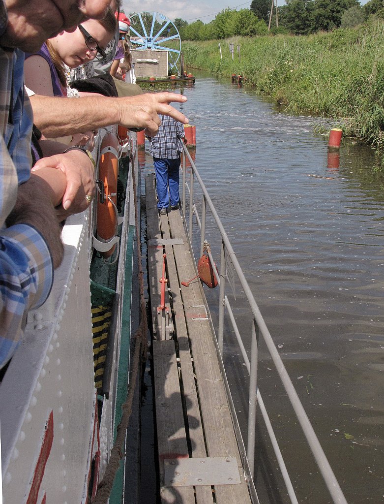 2012-07-02_11-19-26_IMG_x26933_cr.jpg -                                