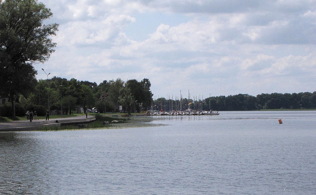 2012-07-02_14-31-16_IMG_x27060_cr.jpg -                                