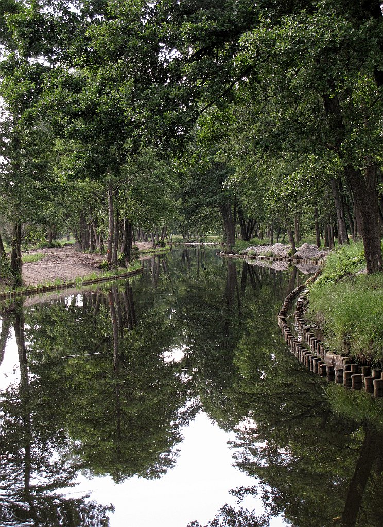 2012-07-02_15-27-01_IMG_x27078_cr.jpg -                                