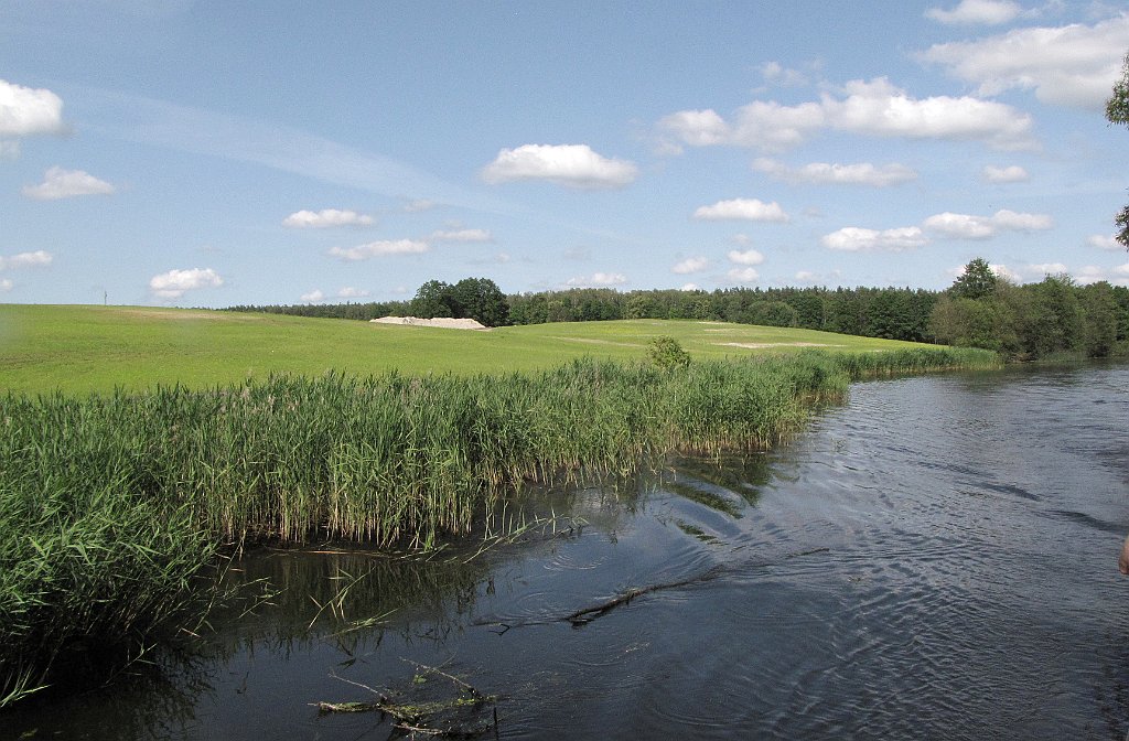 2012-07-02_16-14-29_IMG_x27107_cr.jpg -                                