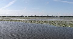 2012-07-02_09-23-21_IMG_x26752_cr