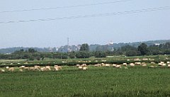 2012-07-02_10-15-20_IMG_x26808_cr