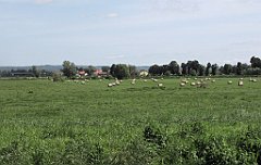 2012-07-02_10-18-43_IMG_x26816_cr