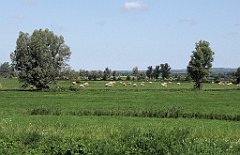 2012-07-02_10-20-58_IMG_x26822_cr