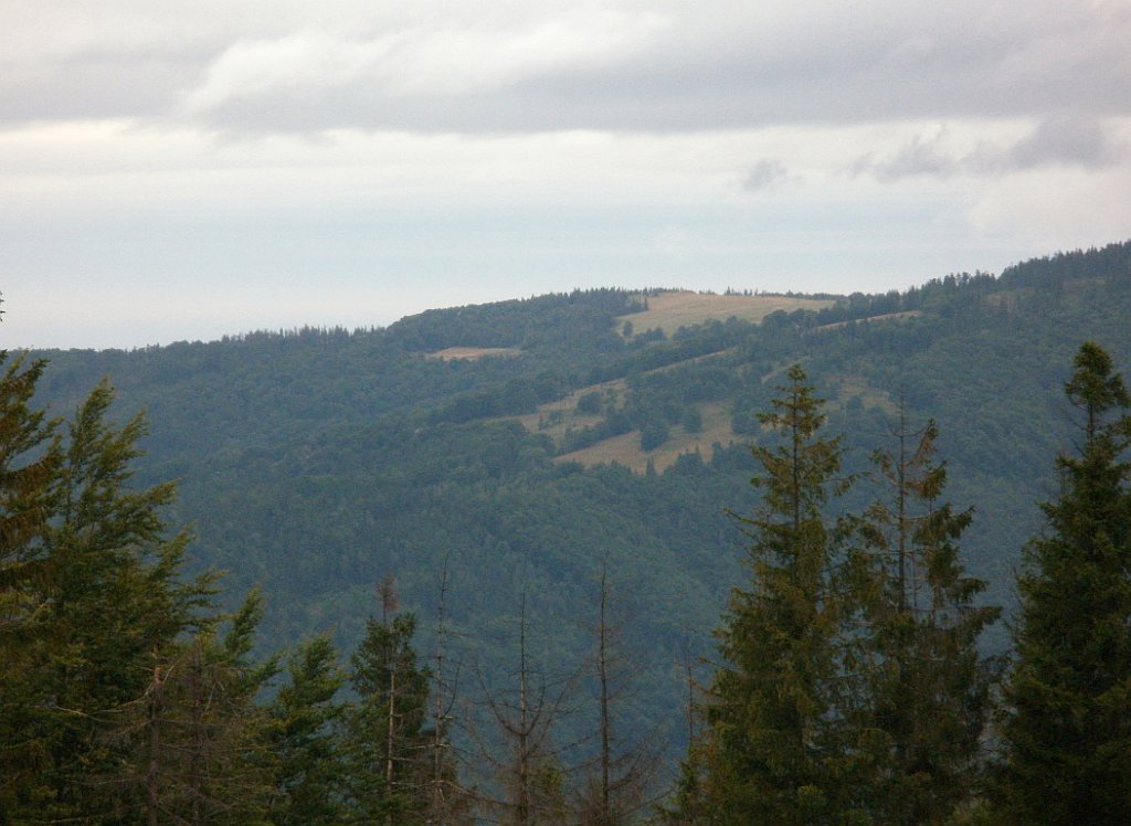 X44_P07130161_cr.jpg - OLYMPUS DIGITAL CAMERA         