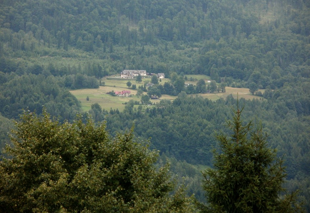 X44_P07130191_cr.jpg - OLYMPUS DIGITAL CAMERA         