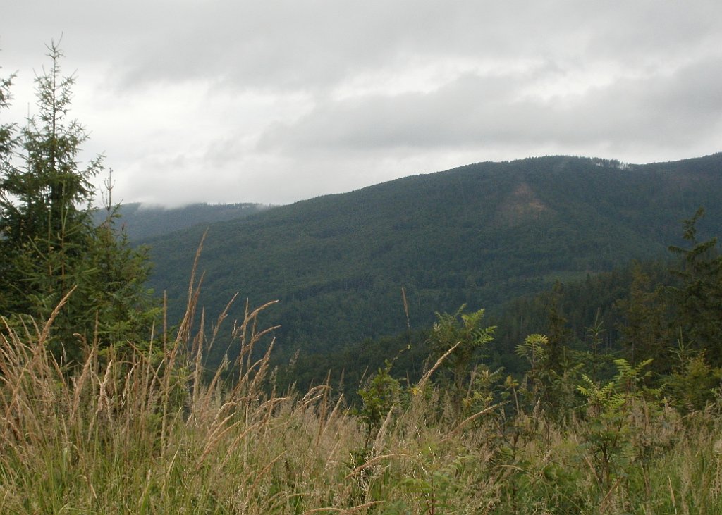 X44_P07130198_cr.jpg - OLYMPUS DIGITAL CAMERA         