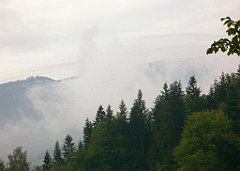 IMG_x28736_X44_P07300004_cr