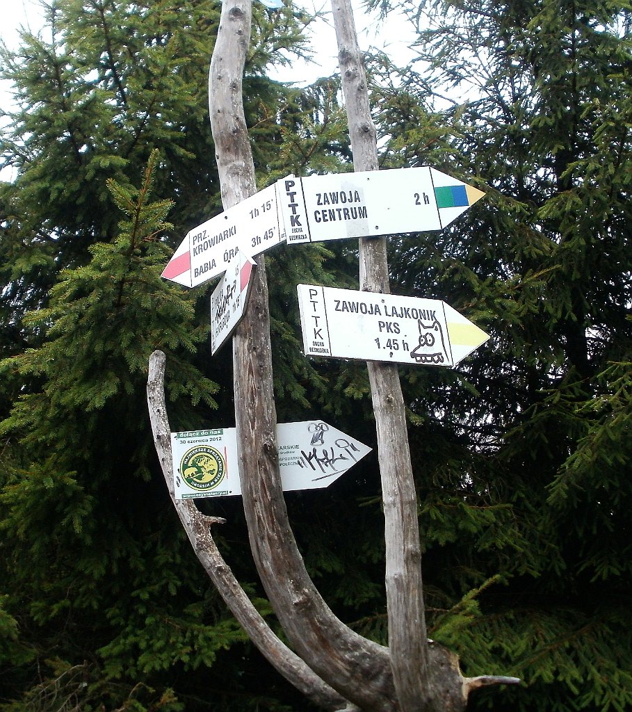 IMG_x29812_X44_P08150243_cr.jpg - OLYMPUS DIGITAL CAMERA         