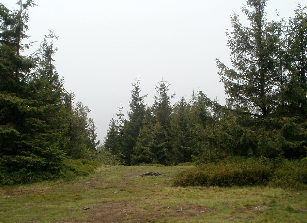 IMG_x29812_X44_P08150244_cr.jpg - OLYMPUS DIGITAL CAMERA         