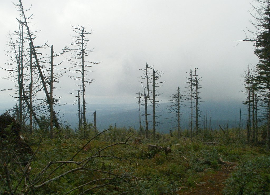 IMG_x29814_X44_P08150255_cr.jpg - OLYMPUS DIGITAL CAMERA         