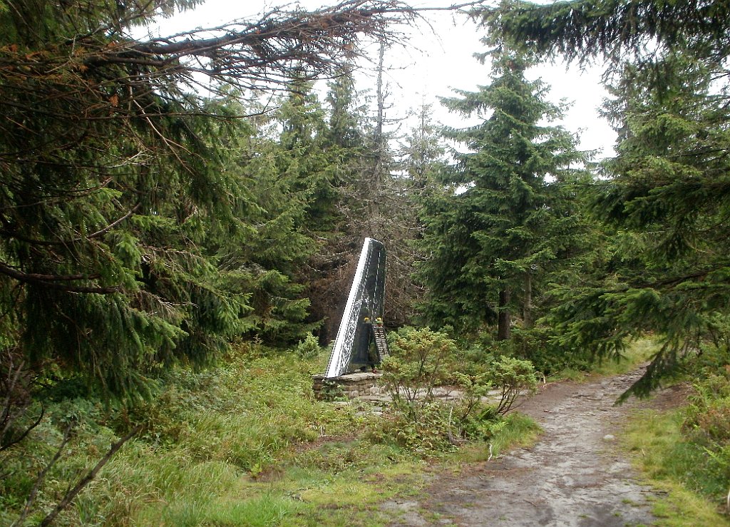 IMG_x29814_X44_P08150256_cr.jpg - OLYMPUS DIGITAL CAMERA         