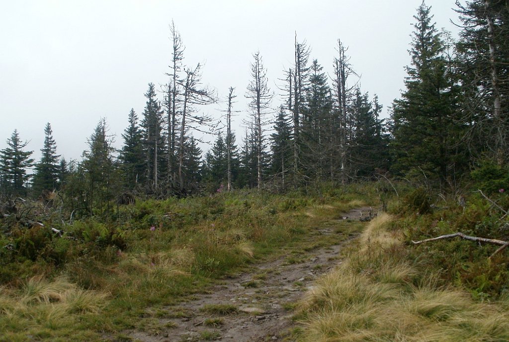 IMG_x29814_X44_P08150267_cr.jpg - OLYMPUS DIGITAL CAMERA         