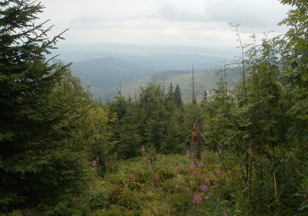 IMG_x29814_X44_P08150275_cr.jpg - OLYMPUS DIGITAL CAMERA         