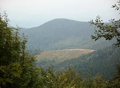 IMG_x29814_X44_P08150271_cr