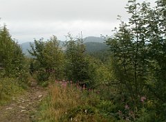 IMG_x29814_X44_P08150272_cr