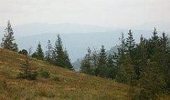 IMG_x29814_X44_P08150281_cr