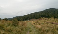 IMG_x29814_X44_P08150294_cr