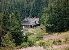 IMG_x29814_X44_P08150312_cr