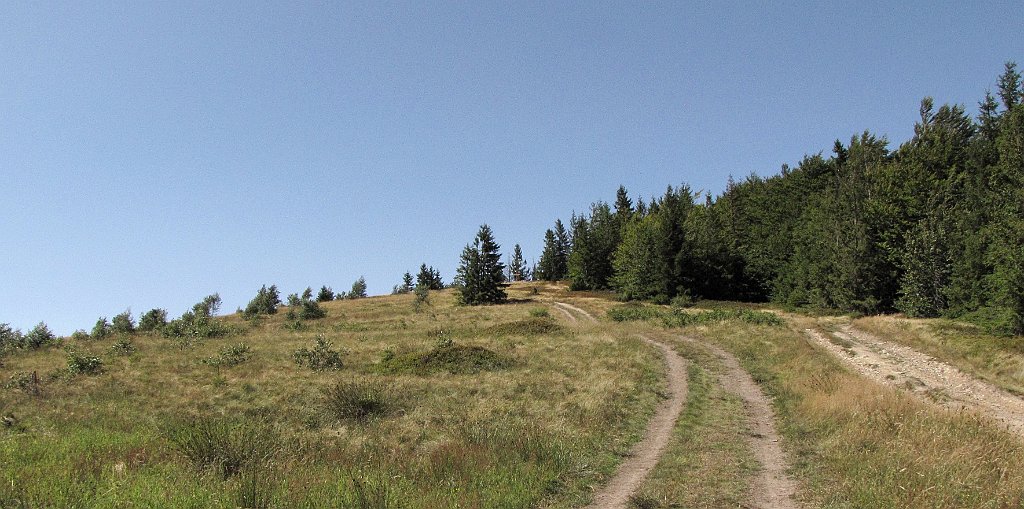 IMG_x30415a_cr.jpg -                                