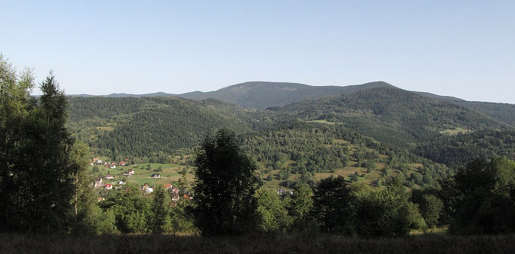 IMG_x30754a_cr.jpg -                                