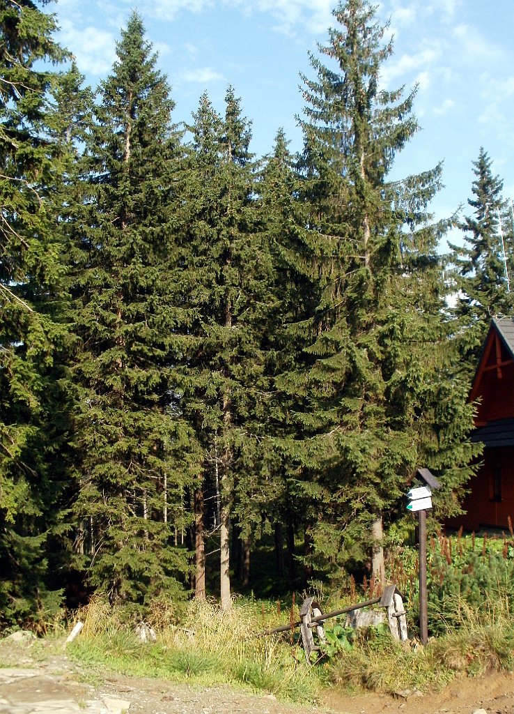 X44_P08230335_cr.jpg - OLYMPUS DIGITAL CAMERA         