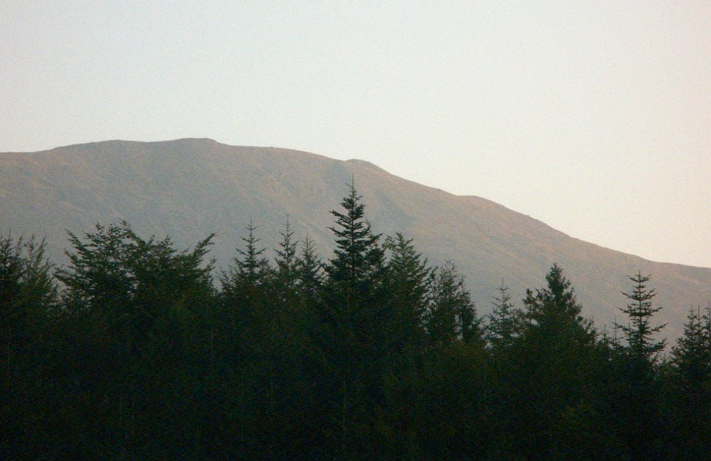 X44_P08230368_cr.jpg - OLYMPUS DIGITAL CAMERA         