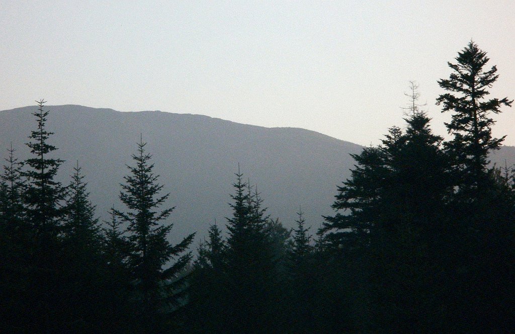 X44_P08230373_cr.jpg - OLYMPUS DIGITAL CAMERA         