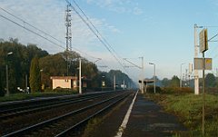 IMG_x33700_X44_P09230843_cr