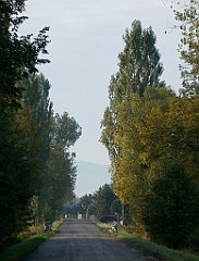 IMG_x33700_X44_P09230845_cr