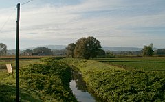 IMG_x33700_X44_P09230857_cr