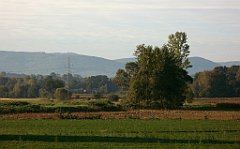 IMG_x33700_X44_P09230858_cr