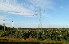 IMG_x33700_X44_P09230869_cr