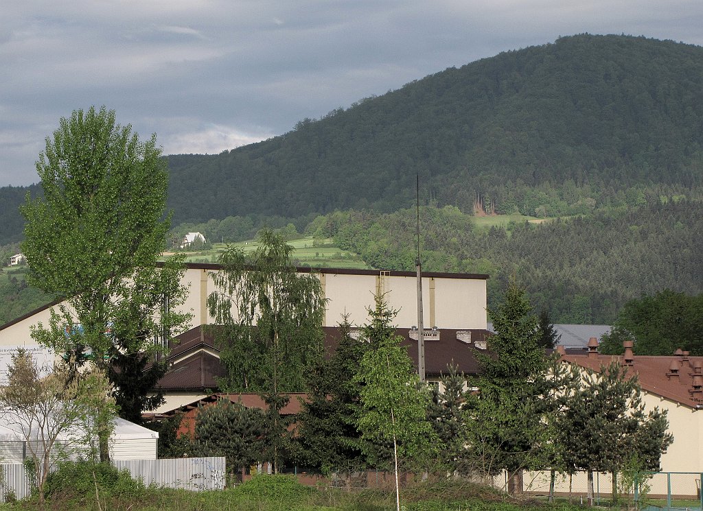 IMG_x38742_cr.jpg