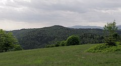 IMG_x39557_cr
