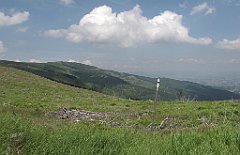 IMG_x40296_cr