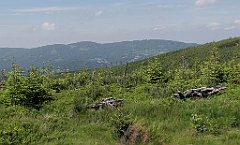 IMG_x40320_cr