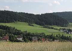 570_IMG_x41329_cr