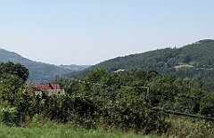 386_IMG_x43163_cr