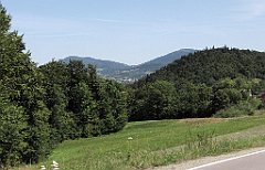 450_IMG_x43758_cr