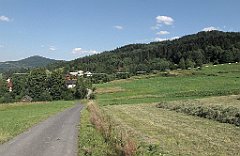IMG_x44176_cr